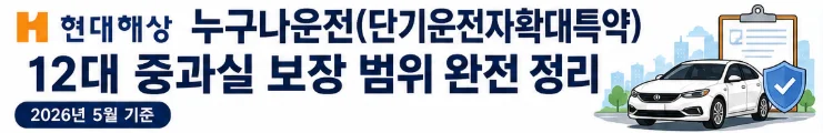 누구나운전(단기운전자확대특약) 12대 중과실 보장 범위
